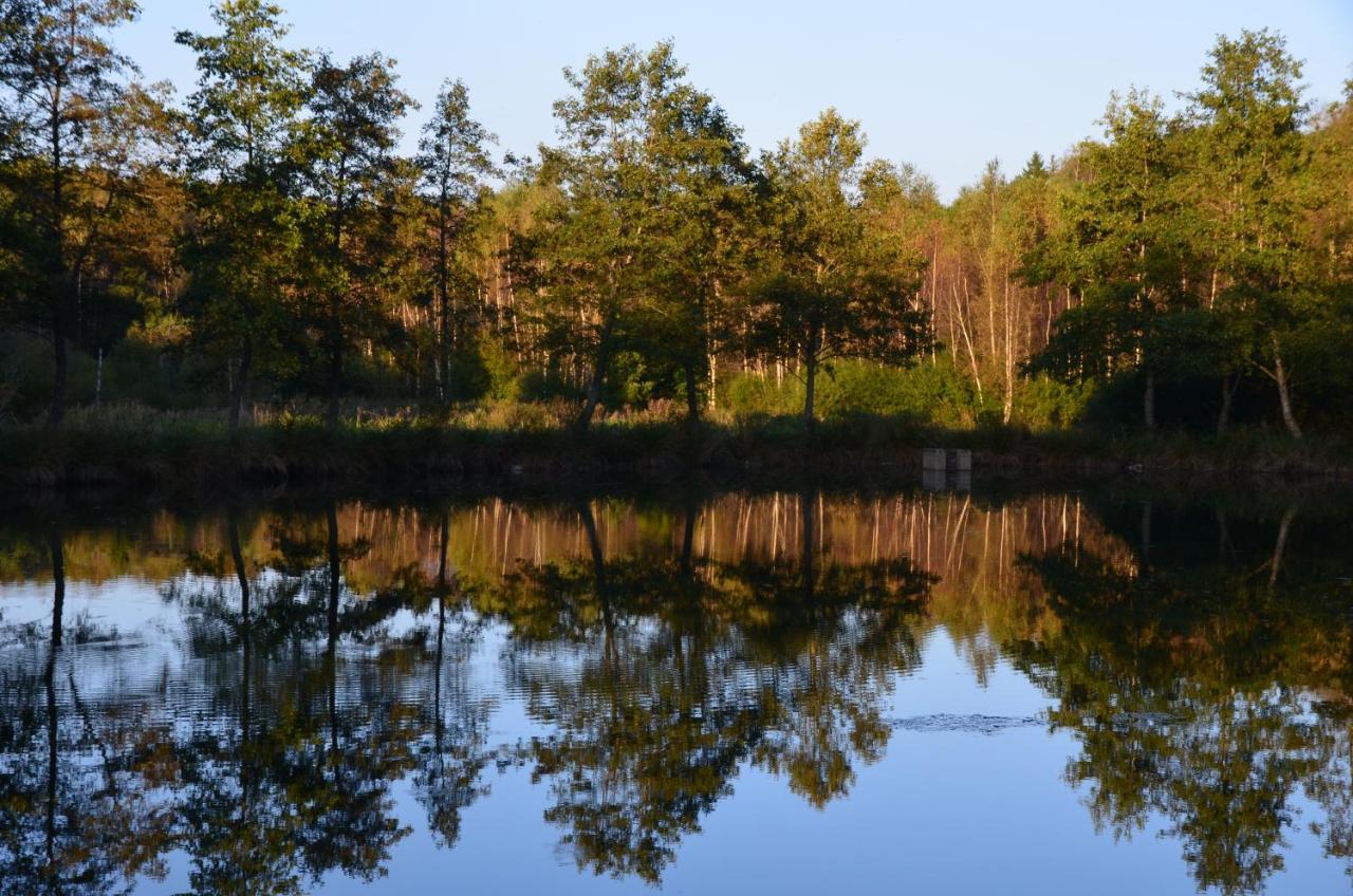 Un espace au bord de l'eau Paliseul Extérieur photo